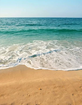 ssp_ocean_shore